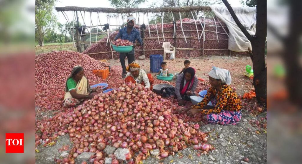 जिल्ह्यातील कांदा वाढणार्‍या बेल्टमध्ये साठवलेल्या उत्पादनाच्या अर्ध्या पाऊस, शेतकर्‍यांना मोठ्या प्रमाणात नुकसान झाले आहे.