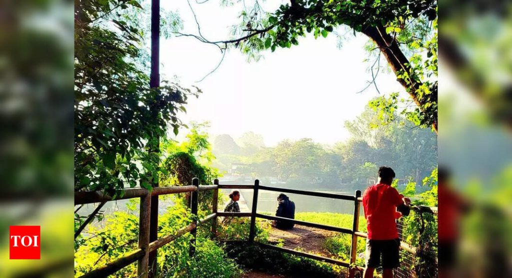 या मोसमात महाराष्ट्रात सर्वात थंड सकाळ दिसल्याने AQI बिघडला; पुणे 12.9°C, धुळे 8.2°C