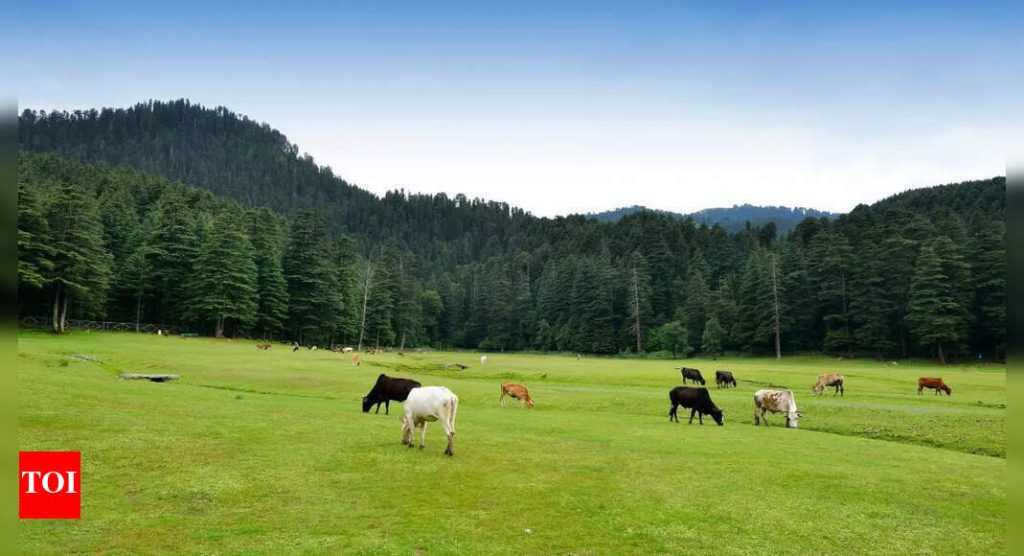भारताचे स्वित्झर्लंड म्हणून कोणते ठिकाण ओळखले जाते? खज्जियारचे सांस्कृतिक आणि नैसर्गिक आकर्षण एक्सप्लोर करणे |