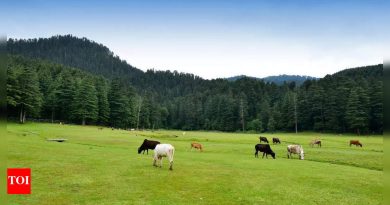 भारताचे स्वित्झर्लंड म्हणून कोणते ठिकाण ओळखले जाते? खज्जियारचे सांस्कृतिक आणि नैसर्गिक आकर्षण एक्सप्लोर करणे |