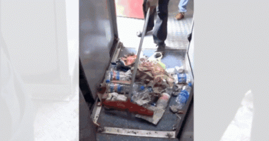 ‘ते भारतातील गाड्या कशा स्वच्छ करतात’: परदेशी प्रभावशाली रेल्वे कर्मचाऱ्याला झाडू मारल्यानंतर ट्रॅकवर कचरा फेकताना पकडतात – पहा