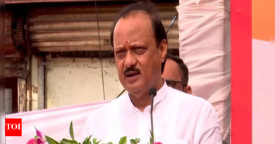 पुणे जमीन व्यवहार: कार्यकर्त्या अंजली दमानिया यांची अजित पवारांच्या राजीनाम्याची मागणी; उपमुख्यमंत्री उत्तर देतात