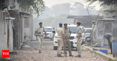 दिल्ली स्फोट: डॉक्टर-पोलिसांनी मौलवी, डॉक्टर्स, मॉड्यूल्सच्या दहशतीचे जाळे उघडले