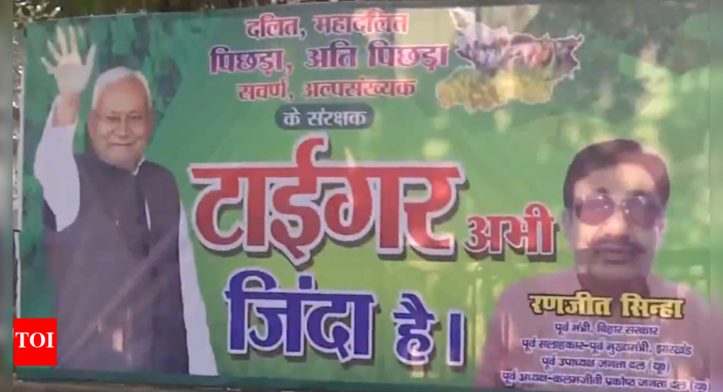 बिहार निवडणूक: ‘टायगर अभी जिंदा है’ पोस्टरमध्ये नितीश सरफेस; उद्या निकाल लागेल