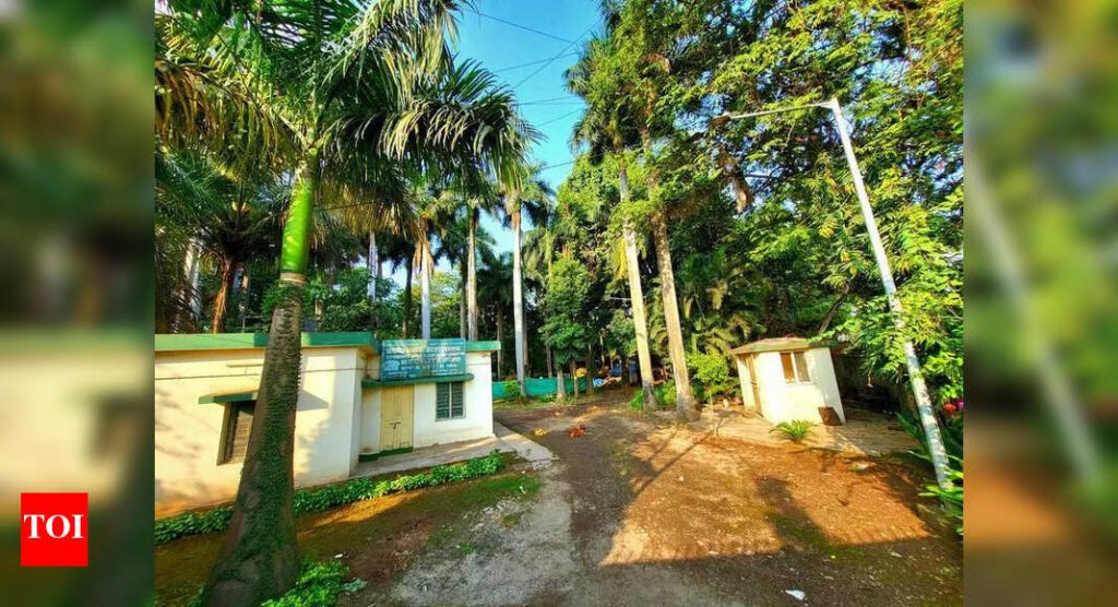 एफआयआर दाखल आणि चौकशी सुरू : निलंबित तहसीलदारांना संरक्षण दिल्याच्या आरोपावरून दुडी