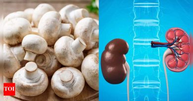 मशरूम तुमच्या किडनीसाठी सुरक्षित नसू शकतात: काय खावे, टाळावे आणि सुरक्षित कसे राहावे |
