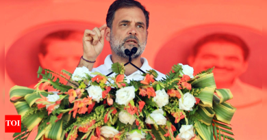 बिहार निवडणूक निकाल: काँग्रेसने सर्वात वाईट कामगिरी केली; राहुलच्या ‘व्होट चोरी’च्या दाव्याला कोणीही नाही