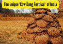 दक्षिण भारतातील हे गाव दरवर्षी एक अनोखा ‘काऊ पूप फेस्टिव्हल’ साजरा करते |