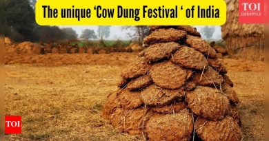 दक्षिण भारतातील हे गाव दरवर्षी एक अनोखा ‘काऊ पूप फेस्टिव्हल’ साजरा करते |