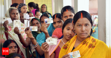 बिहार निवडणूक निकाल: ‘मूक’ गेम चेंजर्स — महिलांनी NDA चा मोठा विजय कसा मिळवला