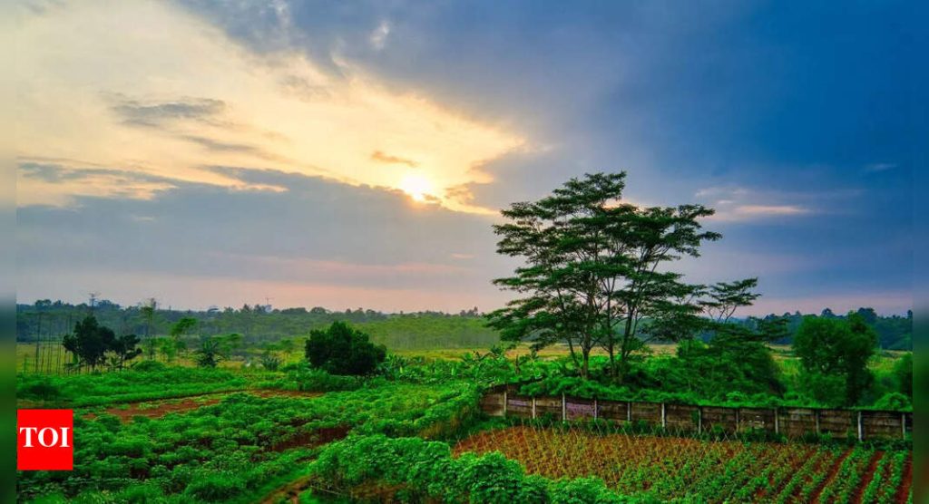 सकाळचा सूर्य वि दुपारचा सूर्य: कोणत्या वेळी तुमची व्हिटॅमिन डी पातळी सर्वात जास्त चार्ज होते |