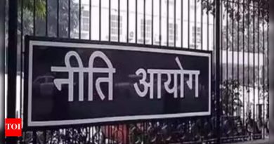 लहान उद्योगांसाठी जीवन सुलभ करण्यासाठी पॅनेल सुधारणा सुचवते