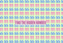 ऑप्टिकल इल्युजन चॅलेंज: तुम्ही ७ सेकंदात ६६ आणि ८८ मध्ये लपलेले ३३ शोधू शकता का?