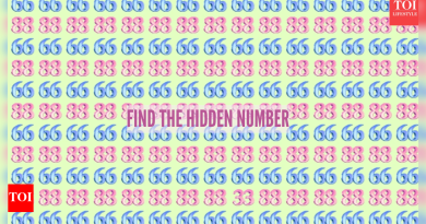 ऑप्टिकल इल्युजन चॅलेंज: तुम्ही ७ सेकंदात ६६ आणि ८८ मध्ये लपलेले ३३ शोधू शकता का?