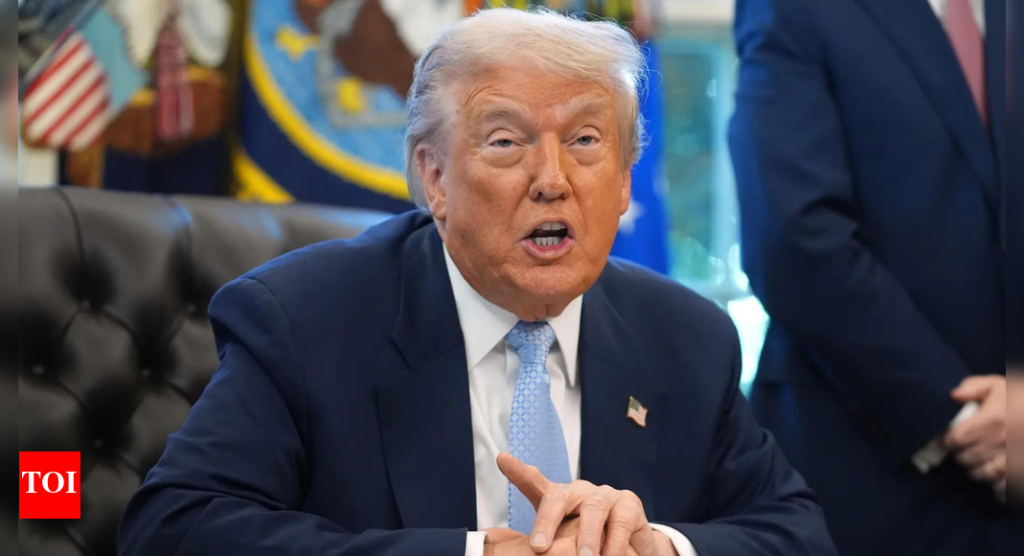 ट्रम्पची गाझा शांतता योजना: यूएनएससीने यूएस-मसुदा ठराव मंजूर केला; हमासने प्रस्ताव फेटाळला