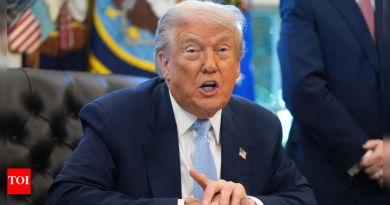 ट्रम्पची गाझा शांतता योजना: यूएनएससीने यूएस-मसुदा ठराव मंजूर केला; हमासने प्रस्ताव फेटाळला