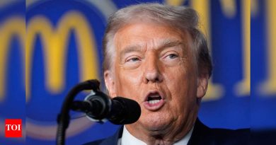 वेगवान यूएस व्हिसा? राष्ट्राध्यक्ष डोनाल्ड ट्रम्प यांनी 2026 विश्वचषक प्रवाशांना मदत करण्यासाठी ‘FIFA पास’चे अनावरण केले