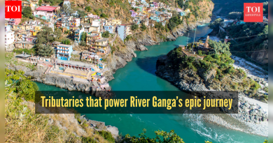 गंगा नदीच्या महाकाव्य प्रवासाला शक्ती देणाऱ्या प्रमुख उपनद्या शोधा |