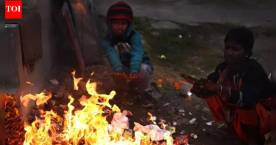 संपूर्ण भारतात तापमानात घट झाल्यामुळे थंडी लवकर पडते