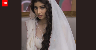 सारा अर्जुनचे आई-वडील कोण आहेत? ‘धुरंधर’ अभिनेत्याच्या कुटुंबाचा आणि सुरुवातीच्या आयुष्याचा सखोल आढावा