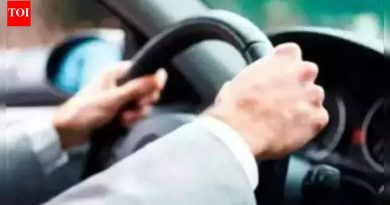 हिट-अँड-रनमध्ये महिला, मुलगी आणि तिची नातवंडे जखमी