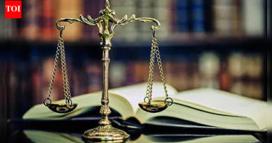 बिलांच्या टाइमलाइनला संमती द्या: आज राष्ट्रपतींच्या संदर्भावर SC चे मत