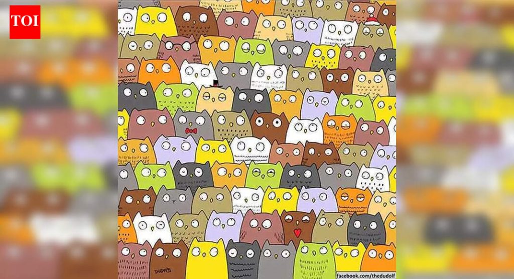 दृष्टीचा भ्रम: फक्त गरुडाचे डोळे असलेले लोक घुबडांमध्ये लपलेली मांजर 7 सेकंदात शोधू शकतात |