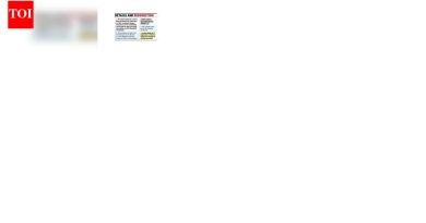 पार्थ पवार यांच्या फर्मला दिलेले इरादा पत्र राज्य उद्योग विभाग रद्द करण्याची शक्यता आहे