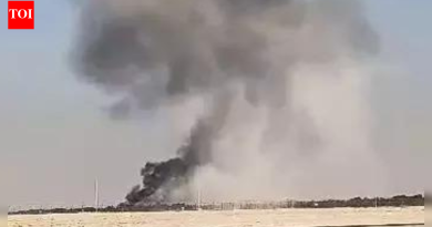 तेजस दुर्घटनेच्या तपासात सहभागी होण्यासाठी आयएएफ अधिकारी दुबईला पाठवला आहे