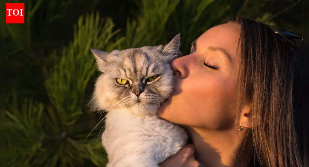 तुमची मांजर तुमची कॉपी करत आहे आणि शास्त्रज्ञांनी नुकतेच विचित्र कारण उघड केले आहे |