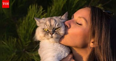 तुमची मांजर तुमची कॉपी करत आहे आणि शास्त्रज्ञांनी नुकतेच विचित्र कारण उघड केले आहे |