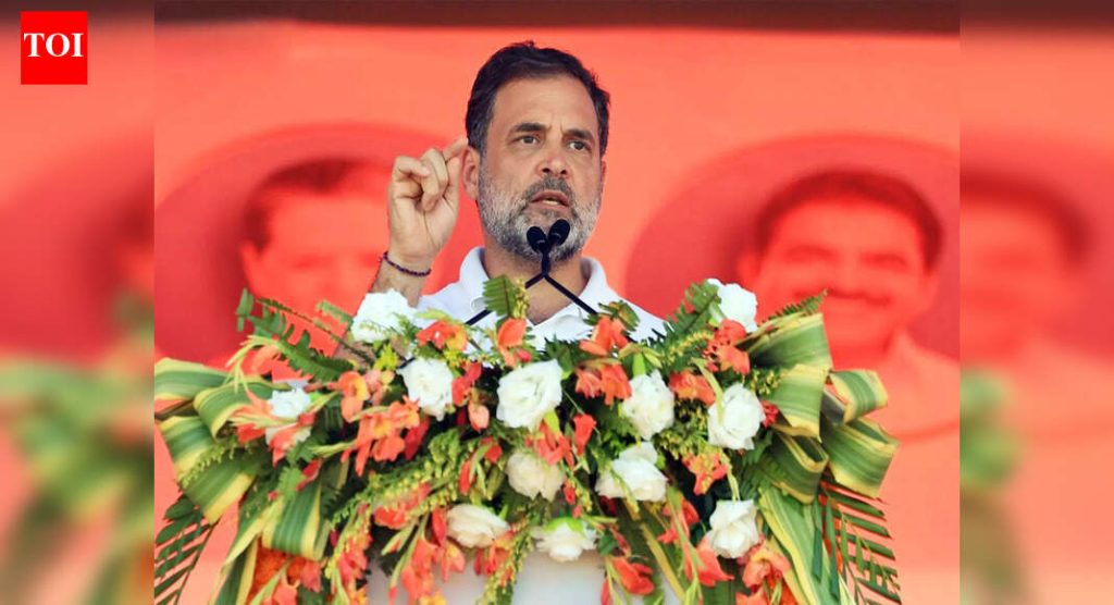 ‘देश अराजकतेत’: बीएलओंच्या मृत्यूनंतर राहुलची सरांची टीका; रोल रिव्हिजनला ‘लादलेला जुलूम’ म्हणतात