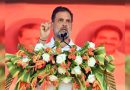 ‘देश अराजकतेत’: बीएलओंच्या मृत्यूनंतर राहुलची सरांची टीका; रोल रिव्हिजनला ‘लादलेला जुलूम’ म्हणतात