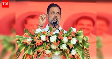 ‘देश अराजकतेत’: बीएलओंच्या मृत्यूनंतर राहुलची सरांची टीका; रोल रिव्हिजनला ‘लादलेला जुलूम’ म्हणतात
