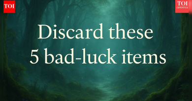 या 5 वस्तू फेकून दिल्याने तुमच्या आयुष्यातील अशुभ दूर होईल असे मानले जाते