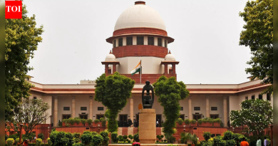 ‘सेनेसाठी मिसफिट’: ख्रिश्चन सैनिकाची अनुशासनहीनता SC ची टीका; मंदिरात प्रवेश करण्यास नकार दिला