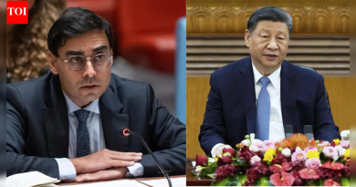 ‘चीन रॅकेट चालवत आहे’: बीजिंगच्या दुर्मिळ पृथ्वीवरील अंकुशांवर युरोपियन युनियनचा हल्ला; ब्लॉक पर्याय शोधत आहे