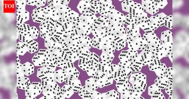 ब्रेन टीझर: फक्त गरुडाचे तीक्ष्ण डोळे असलेले 11 सेकंदात सात ठिपके असलेले फासे शोधू शकतात |