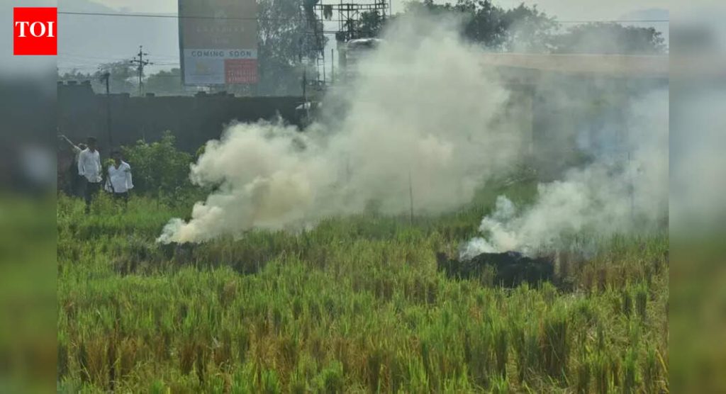 प्रदूषण नियमांचे उल्लंघन केल्याप्रकरणी वडगाव बुद्रुक आरएमसी प्लांटला २९.६८ लाख रुपये भरण्यास सांगितले