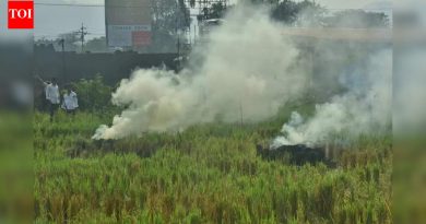 प्रदूषण नियमांचे उल्लंघन केल्याप्रकरणी वडगाव बुद्रुक आरएमसी प्लांटला २९.६८ लाख रुपये भरण्यास सांगितले