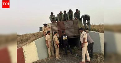 मोठ्या मांजराच्या ताज्या दर्शनानंतर पुणे विमानतळावर अतिरिक्त ट्रॅप कॅमेरे