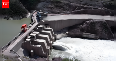 उरी हायड्रो प्लांटला महत्त्वाचा धोका: ऑपरेशन सिंदूर दरम्यान पाकिस्तानचा बदला सीआयएसएफची जलद कारवाई; कुटुंबांना वेळेत कसे बाहेर काढण्यात आले