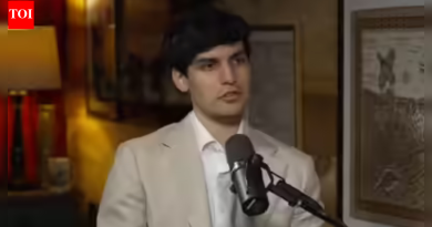 देसी मागा समर्थक: नलिन हेली कोण आहे? भारतीय वंशाचा माजी अमेरिकन राजदूत विवेक रामास्वामी यांचा मुलगा