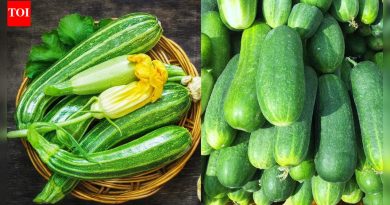 काकडी वि. झुचीनी: पोषण आणि चव मधील महत्त्वाचे फरक |