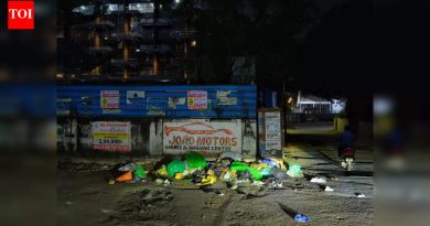 पीएमसीच्या कचरा संकलनाच्या सुधारणांबाबत विमाननगरवासीयांचा सवाल