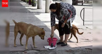 PMC नागरिकांना भटक्या कुत्र्यांना खाद्य देणारी ठिकाणे ओळखण्याचे आवाहन करते