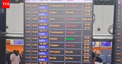 A320 सॉफ्टवेअर समस्या: इंडिगो आणि एआय ग्रुपची 338 विमाने प्रभावित; 56% आवश्यक अपडेट मिळवा