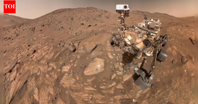 मंगळावर ‘सूक्ष्म-विद्युल्लता’ सापडली: नासाच्या रोव्हरने दुर्मिळ शोध लावला- नवीन अभ्यास स्पष्ट करतो