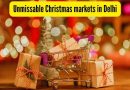 दिल्लीतील ‘जिंगल बेल्स ऑल द वे’: ख्रिसमस मार्केट तुम्ही चुकवू शकत नाही! |
