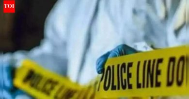 कॅनडाहून परतलेल्या महिलेला पतीच्या हत्येप्रकरणी अटक